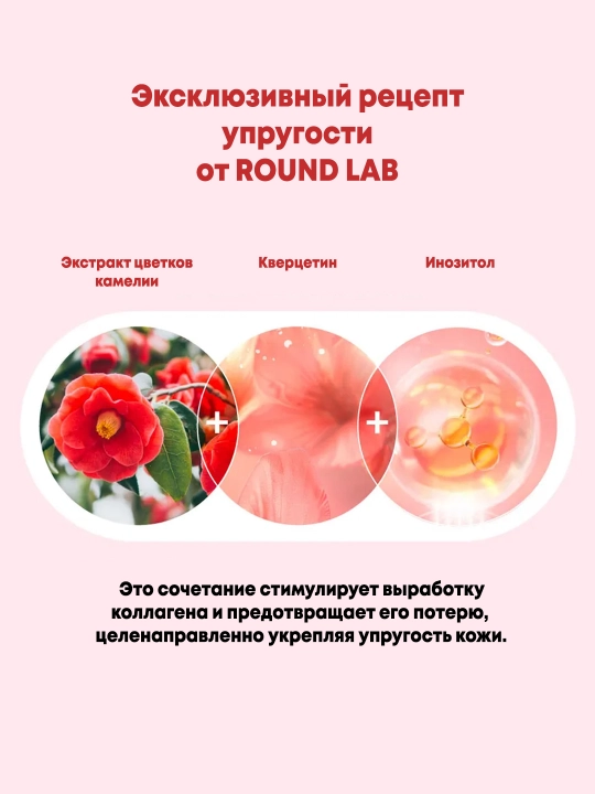 Укрепляющий молочный тонер Round Lab Camellia Deep Collagen PDRN Milky Toner