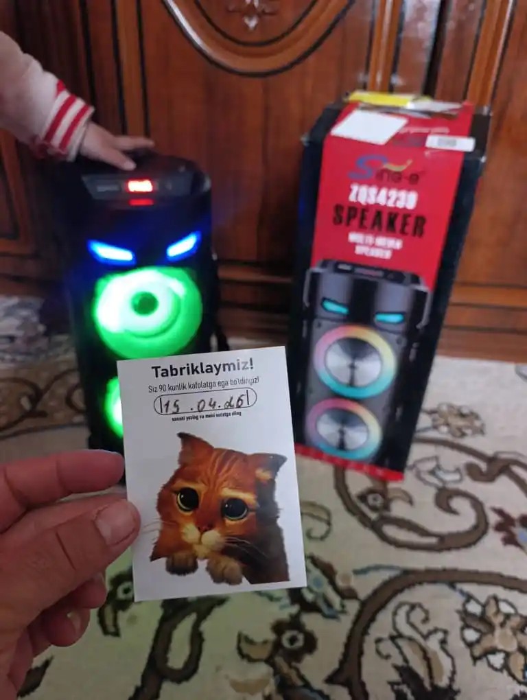 Kalonka karaoke, Bluetooth simsiz portativ dinamik, mikrofonli musiqa kalonkasi