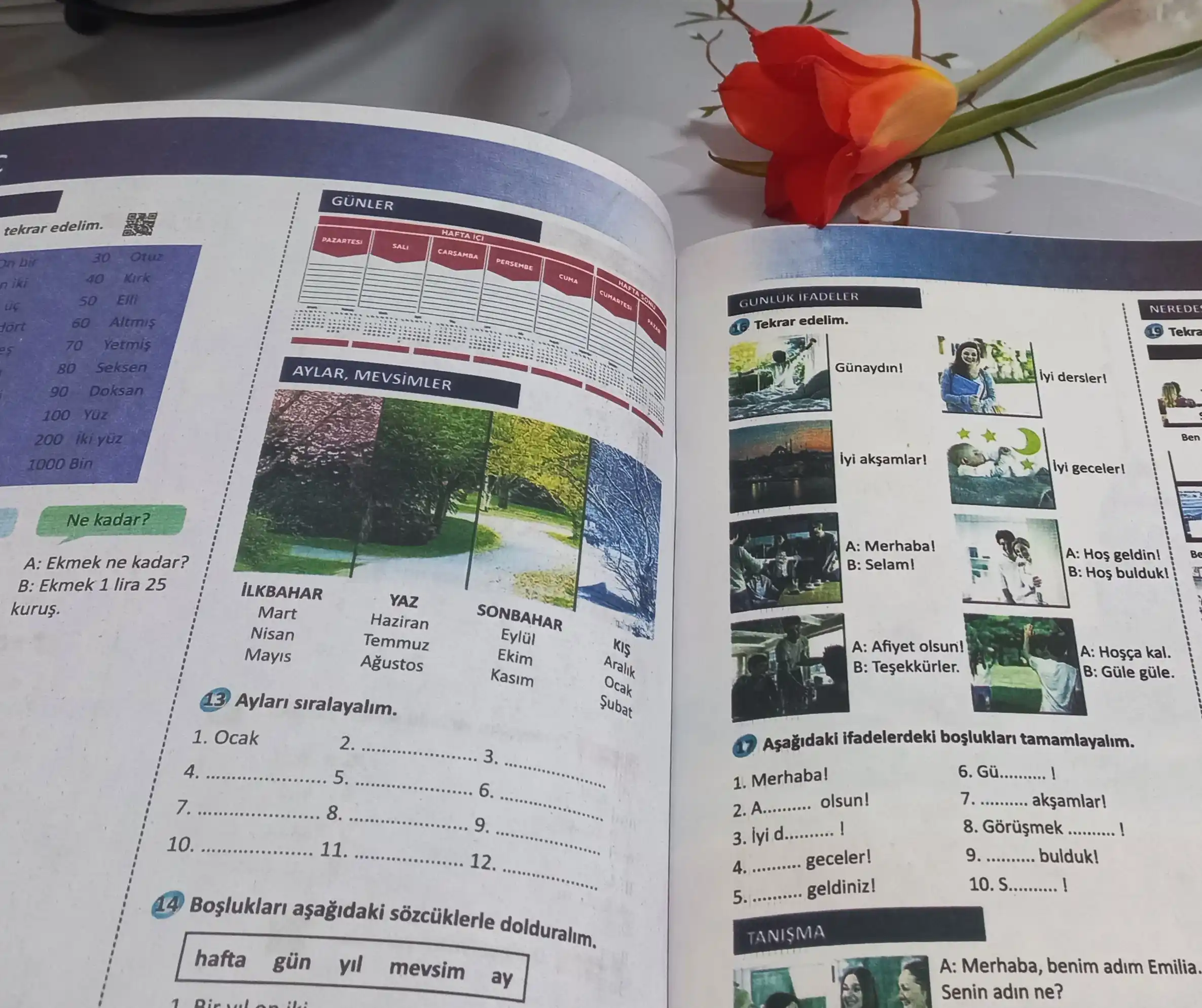 Yeni Istanbul: Uluslararası Öğrenciler İçin Türkçe Eğitim Seti A1, A2, B1, B2, C1