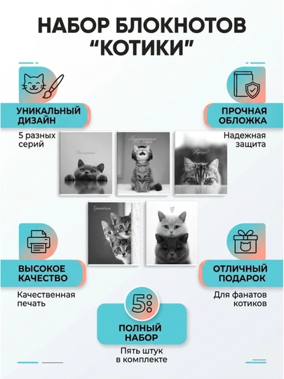 Комплект тетрадей ФЕНИКС+ 48 л, клетка, 5 шт, Монохромные коты А5+ —  дизайн 2026 — БЕТА-70920