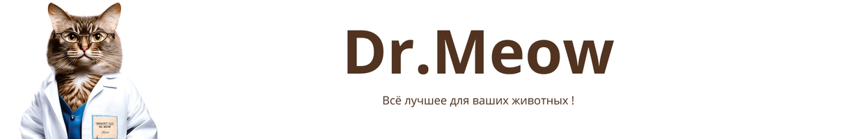 Dr.Meow