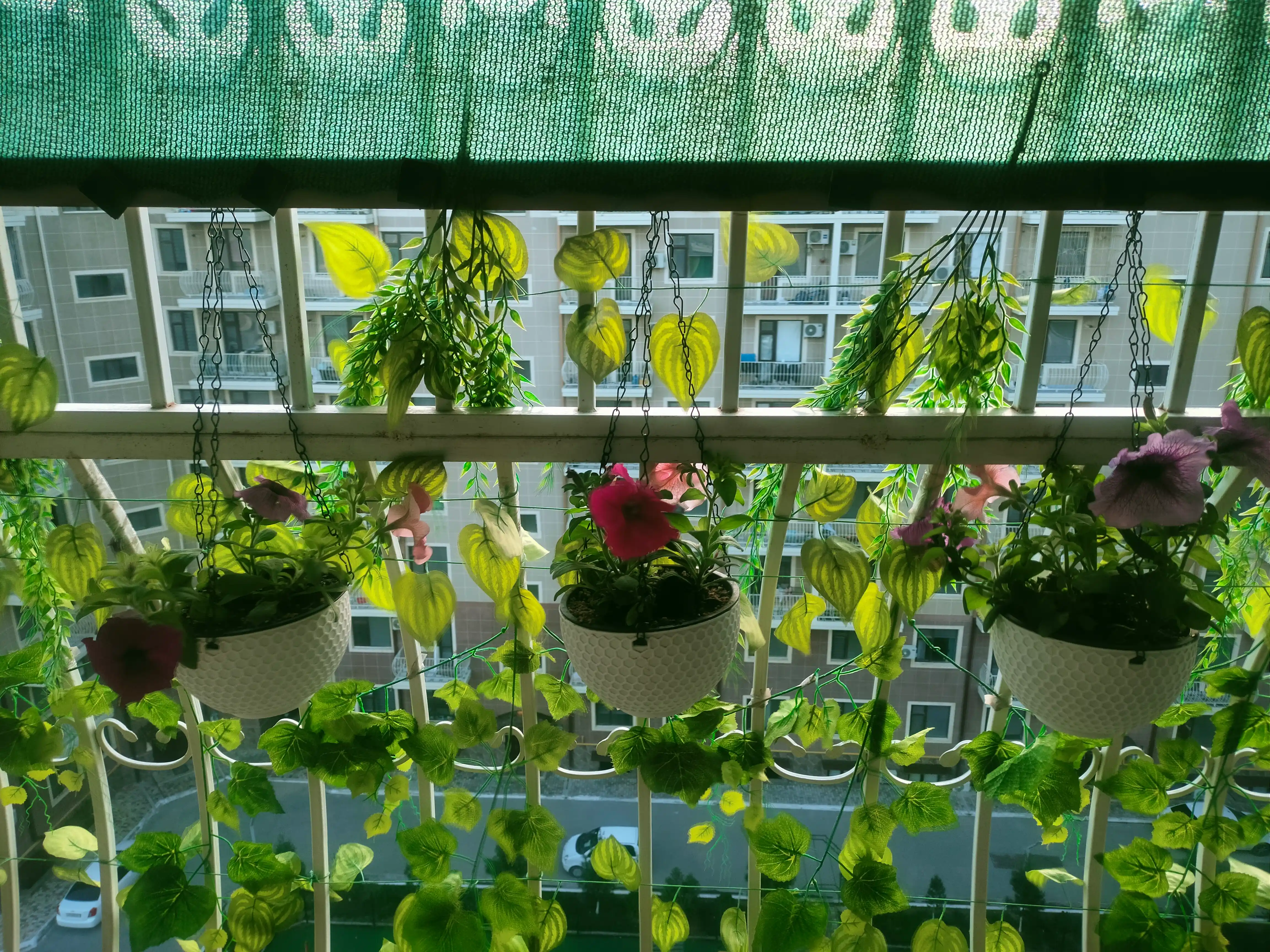 Uy va balkon uchun osma gul tuvagi