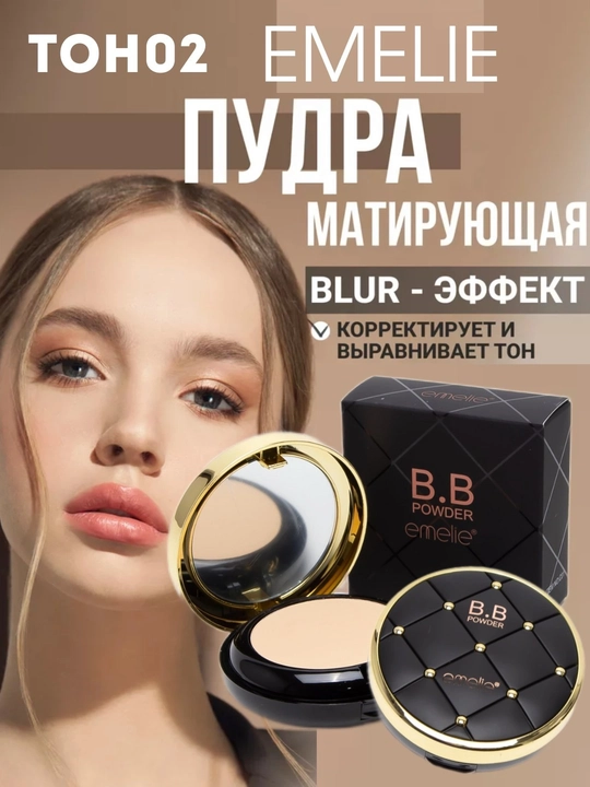 Матирующая пудра для лица Emelie Professional — Пудра, абсорбирующая жирность кожи лица - 