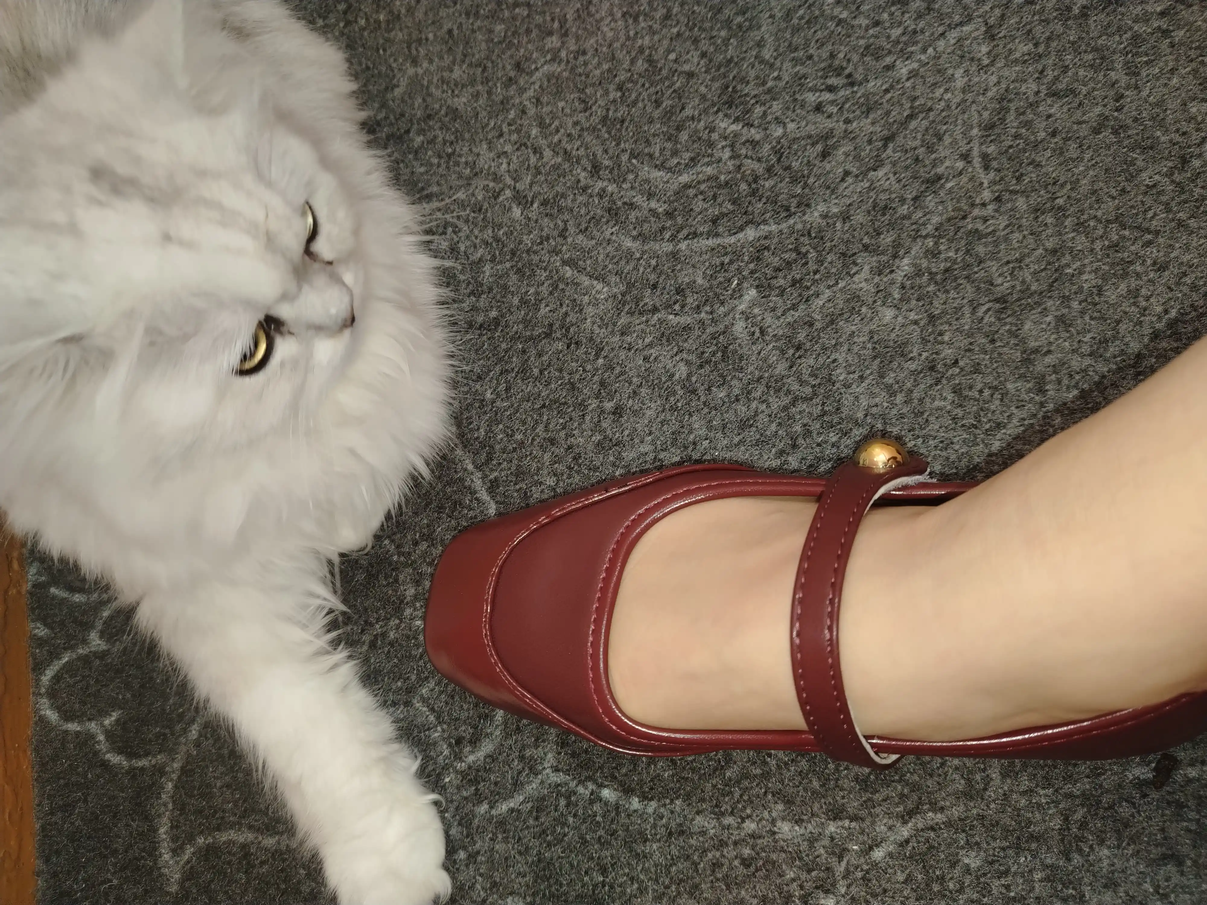 Ayollar baletkalari Mary Jane, charm, tugmali, kvadrat burunli va poshzasiz tuflilar