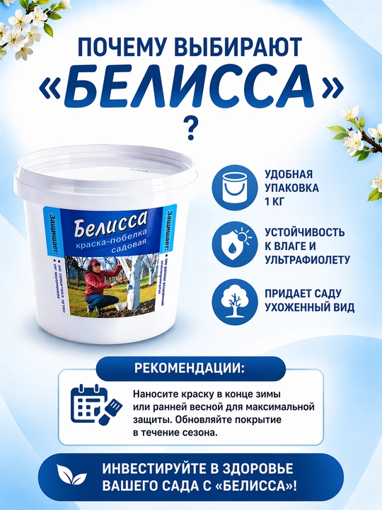 Побелка, садовая краска, Белиссa, для защиты деревьев от насекомых, 1 кг