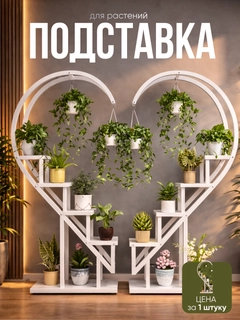 Белый