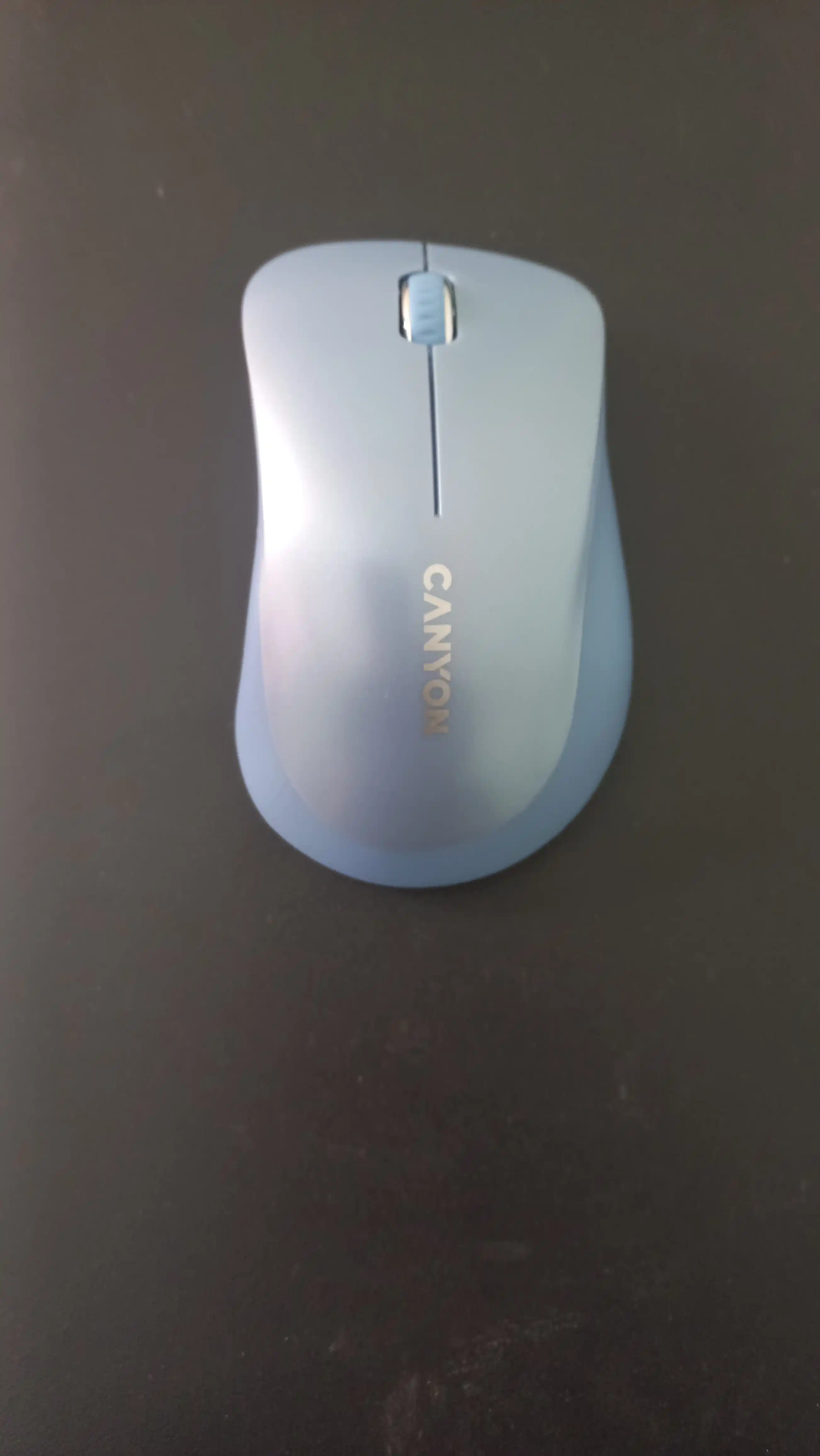 Компьютерная мышь беспроводная CANYON MW-11