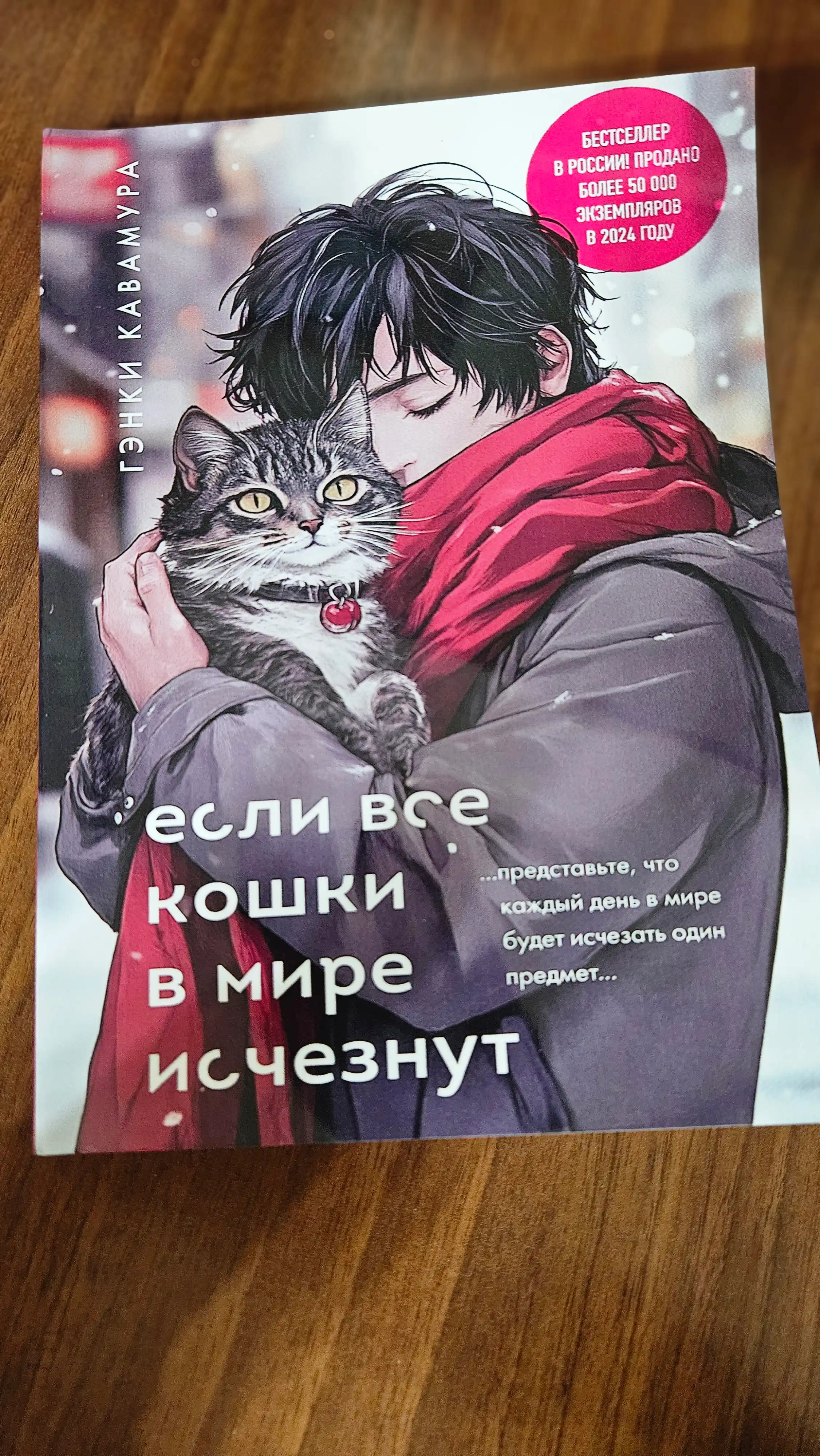 Если все кошки в мире исчезнут, Гэнки Кавамура
