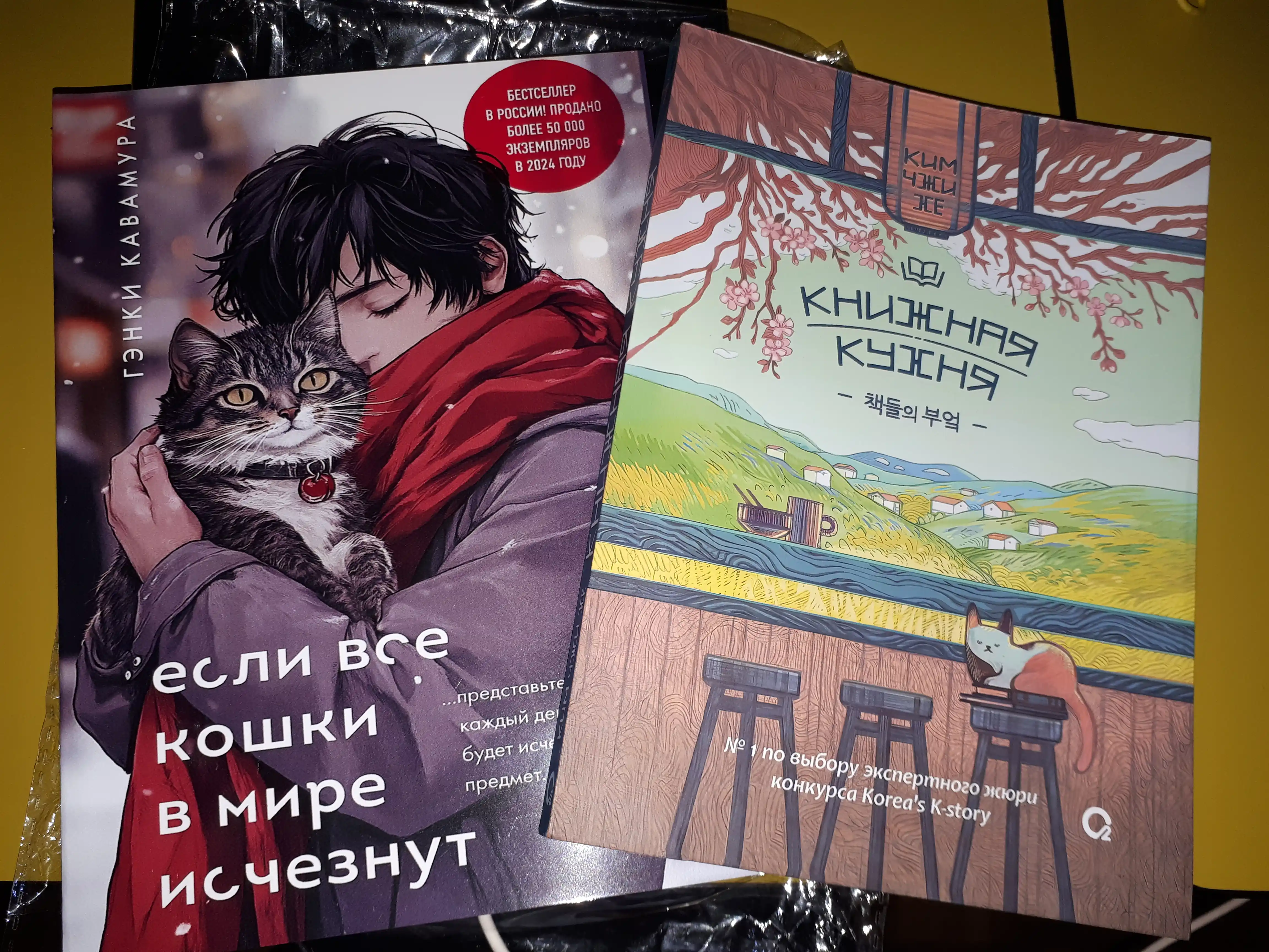 Если все кошки в мире исчезнут, Гэнки Кавамура