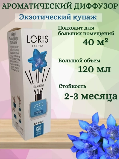 Аромадиффузор для дома, офиса, магазина и автомобиля, 120 мл