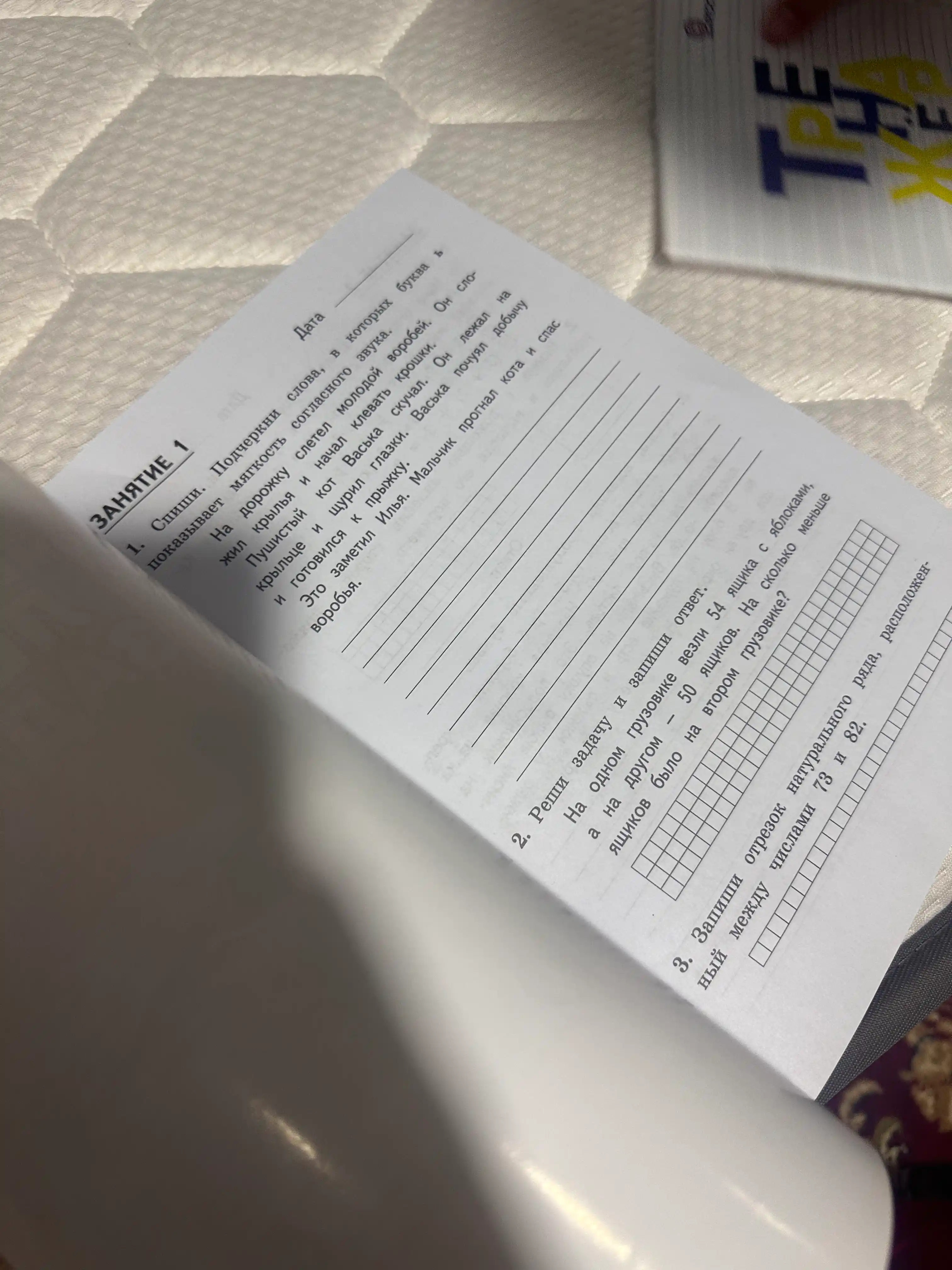 Kombinirovannyye letniye zadaniya, za kurs 2 klassa
