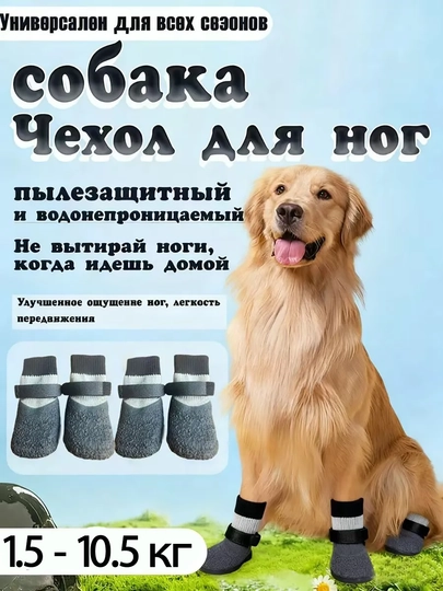 Защитная обувь для собак