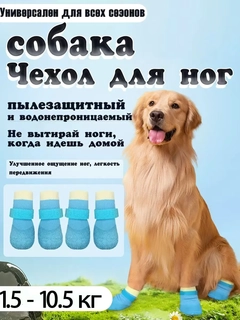 Голубой