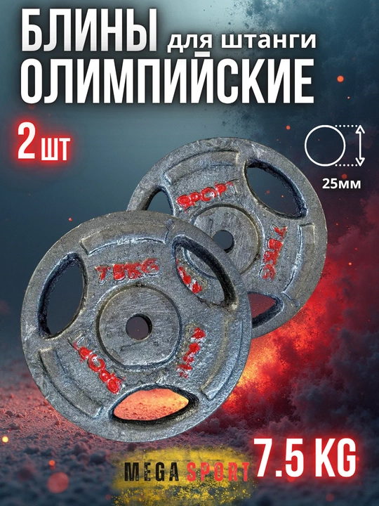 Штанги 2,5 - 5 - 7,5 - 10 кг, 2 штуки, отверстия 2,5 и 50 мм, олимпийского типа - 