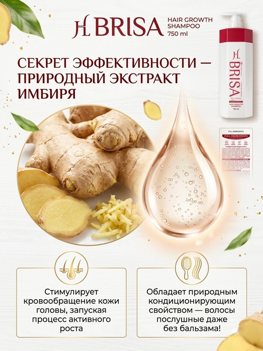 Professional soch shampuni 750 ml: zanjabil, aloe, jenshen