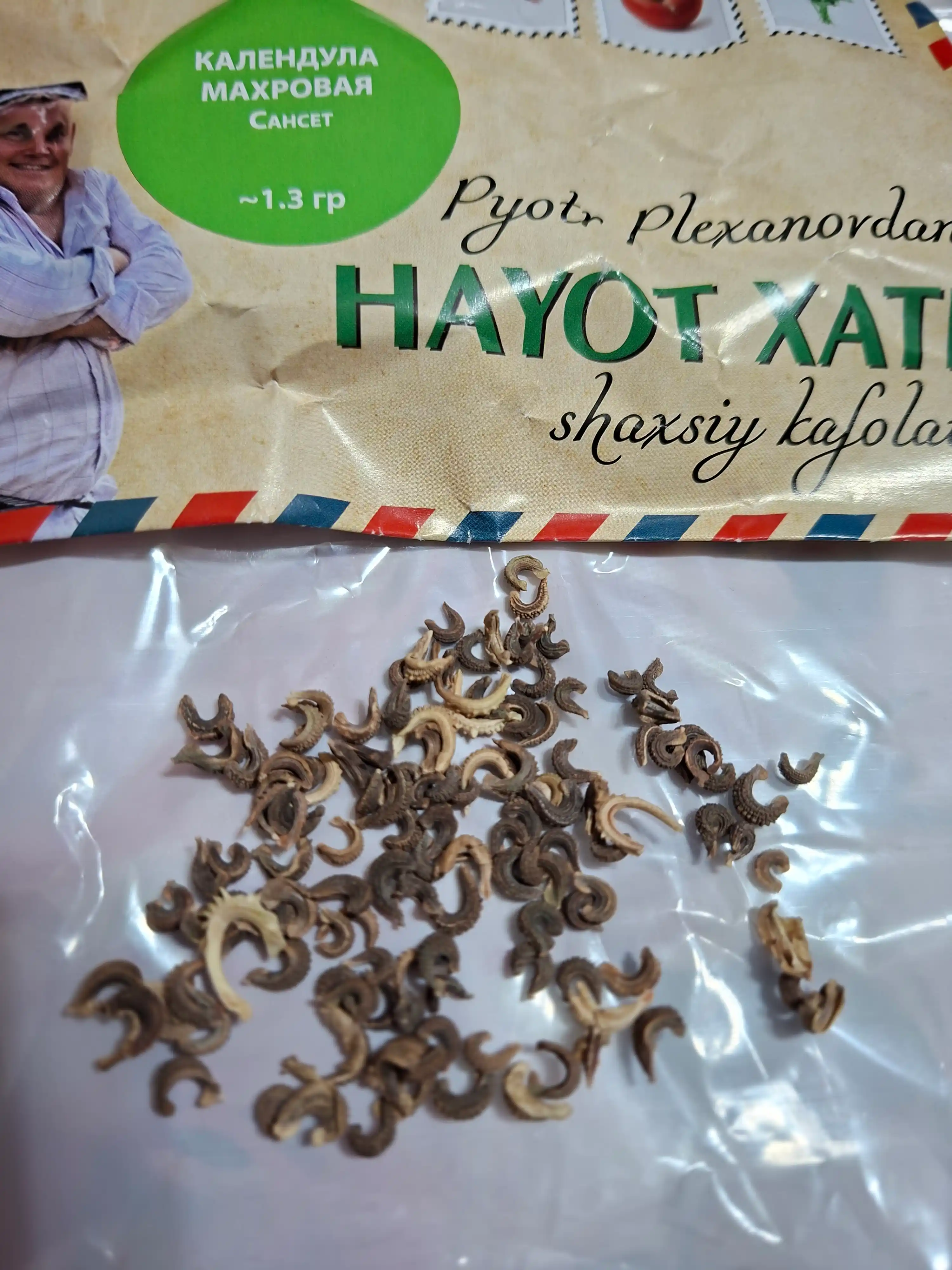 Календула от Петра Плеханова: Махровая Сансет и Смесь окрасок