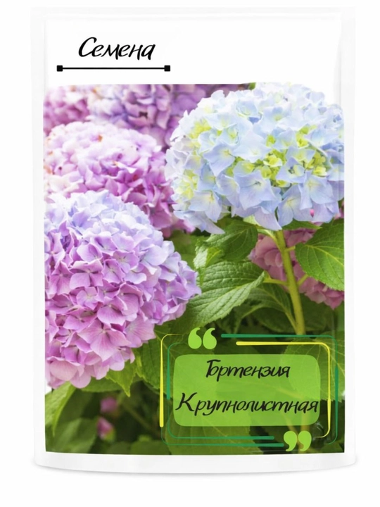 Katta bargli gortenziya - 
