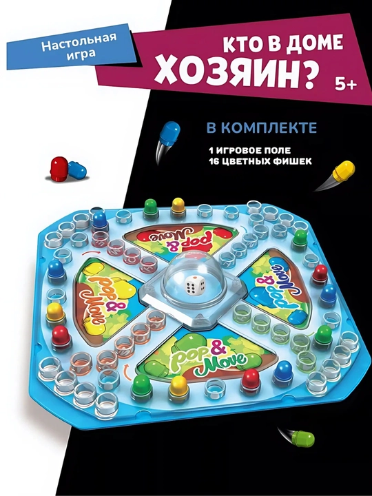 Настольная игра для детей "Кто в доме хозяин?"