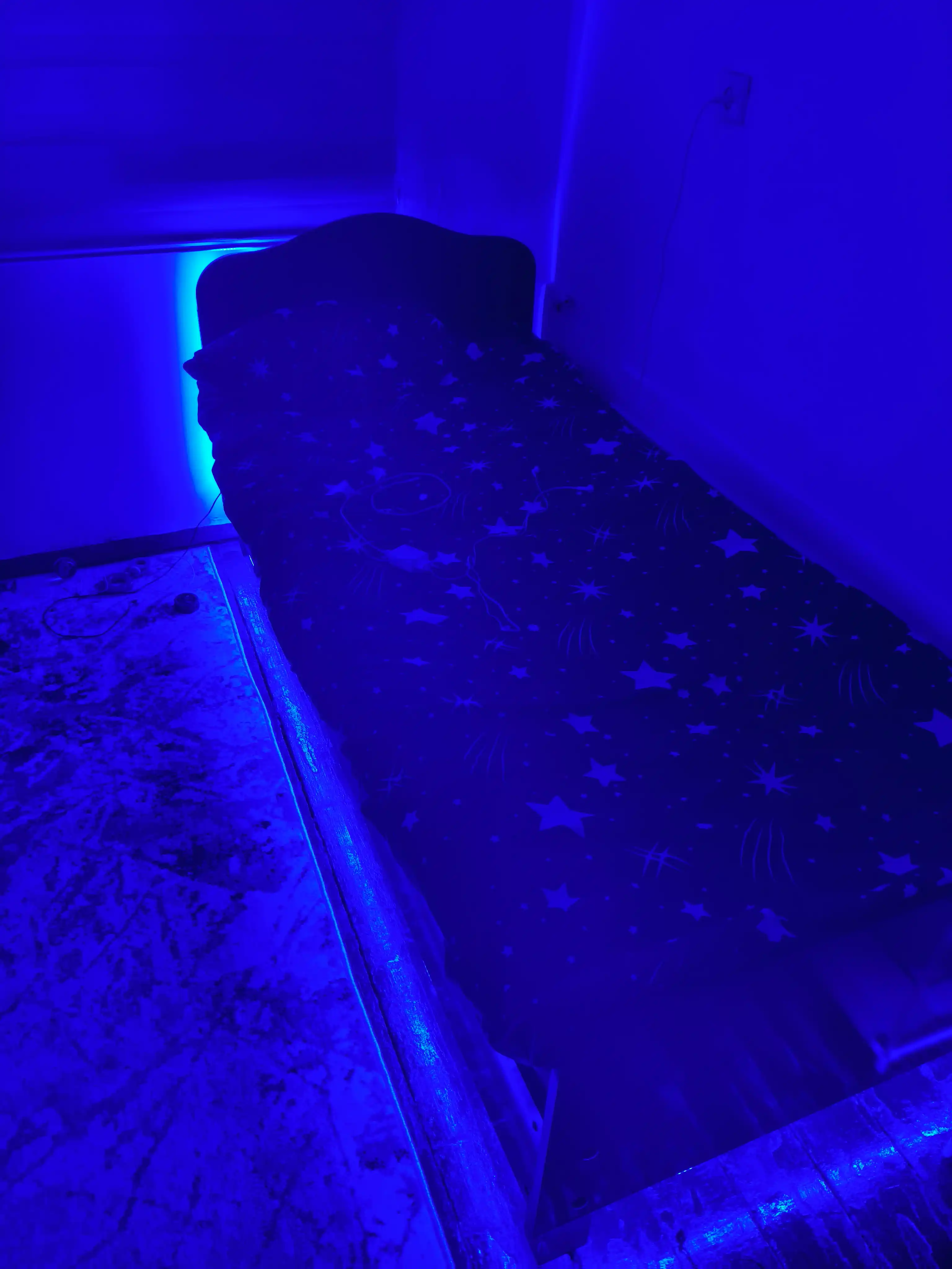 LED Lenta 120D IP65 — Namga chidamli, 10 sm kesiladigan, 3 xil rang
