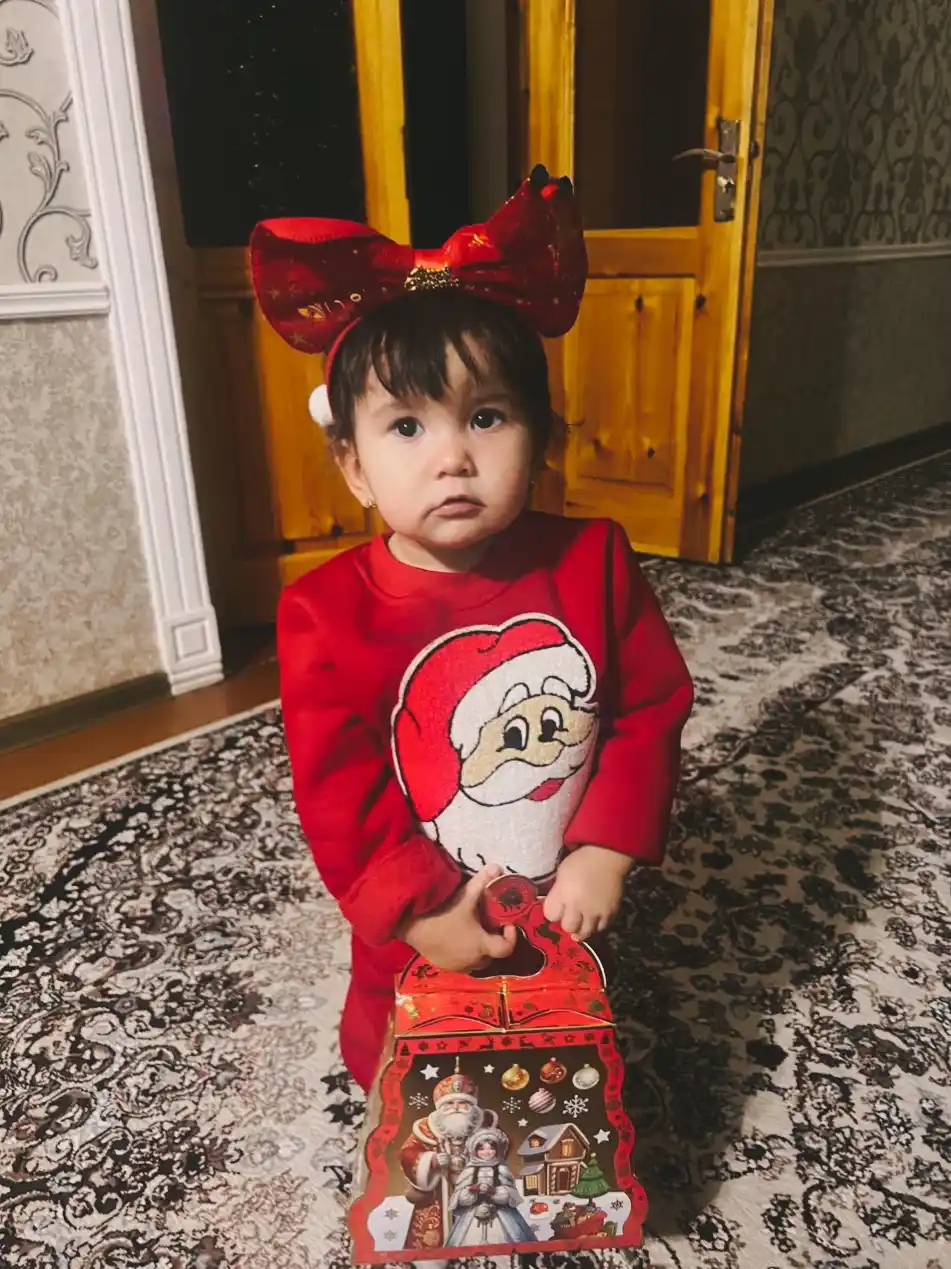 Yangi yil hoshiyasi, Yangi yil va Rojdestvo uchun bezak