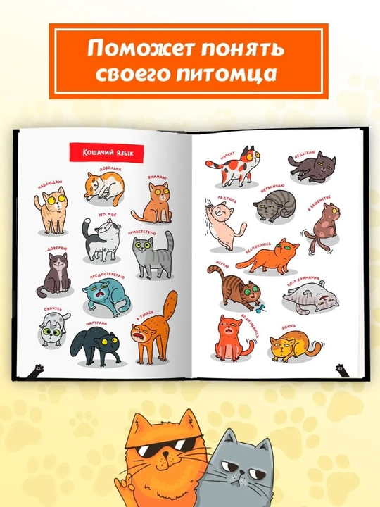Детская энциклопедия: Кошки — большие секреты маленьких хищников, 64 страницы