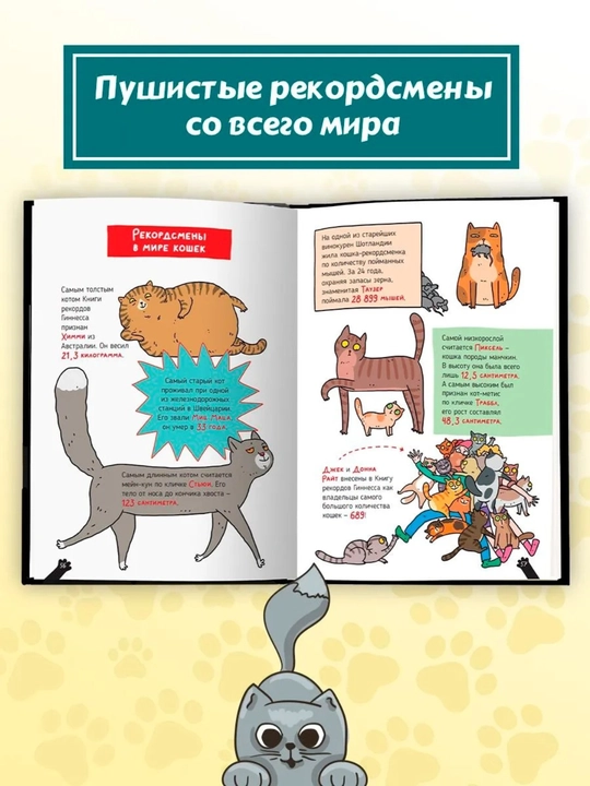 Детская энциклопедия: Кошки — большие секреты маленьких хищников, 64 страницы
