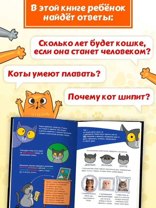 Детская энциклопедия: Кошки — большие секреты маленьких хищников, 64 страницы