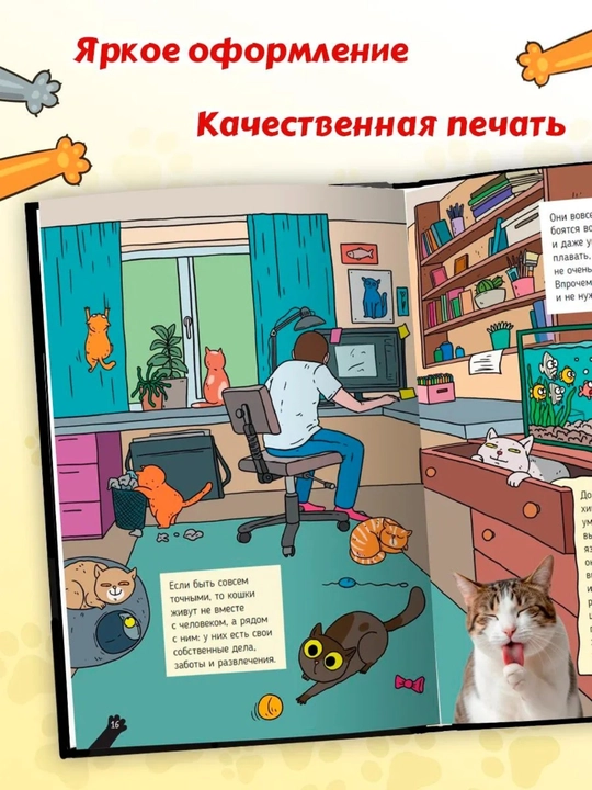 Детская энциклопедия: Кошки — большие секреты маленьких хищников, 64 страницы