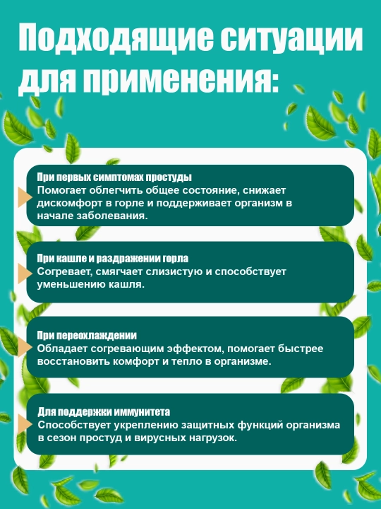 BADEX LIFE Имбирь Вита – горячий имбирный напиток для иммунитета и тонуса,5 пакетов по 12г