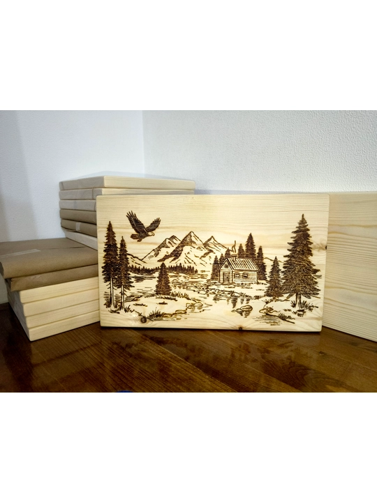 Ijod, bo‘yash, kuydirish, kesish, tayyorlash uchun doska, qarag‘ay, 30x18sm