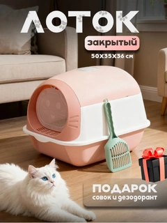 Пудровый