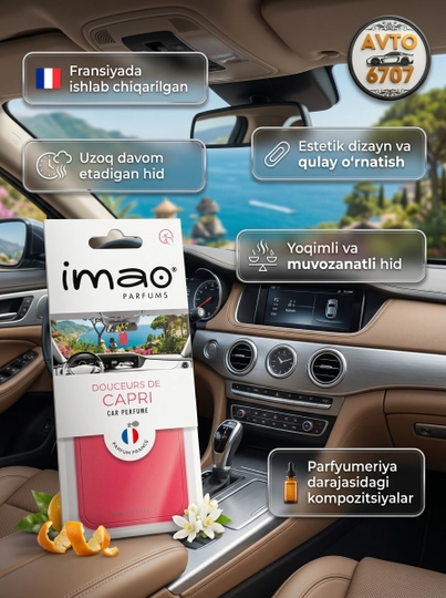 Автопарфюм IMAO Parfums для машины, французский ароматизатор воздуха в салон авто — AVT6707-IMAO-КОРРОЗ