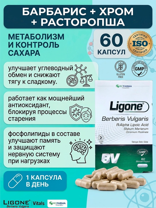 Ligone Berberis Vulgaris, Alpha Lipoic Acid, Milk Thistle, Chromium Picolinate, 60 kapsula - 