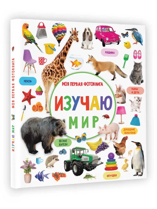Развивающая книга для детей «Моя первая фотокнига. Изучаю мир», 64 стр., 20×26 см