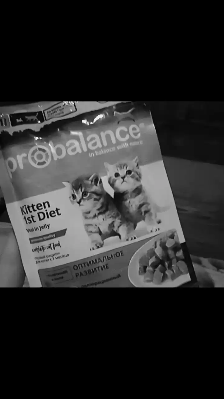 ProBalance mushukchalar uchun nam yem, buzoq go‘shti jeleda, 85 gr 5 dona