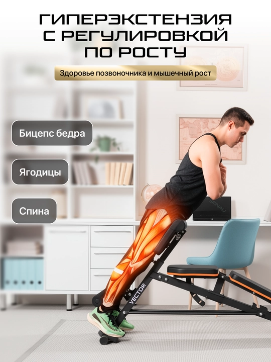 GENAU Vector sozlanishi mumkin bo'lgan giperekstenziya dastgohi
