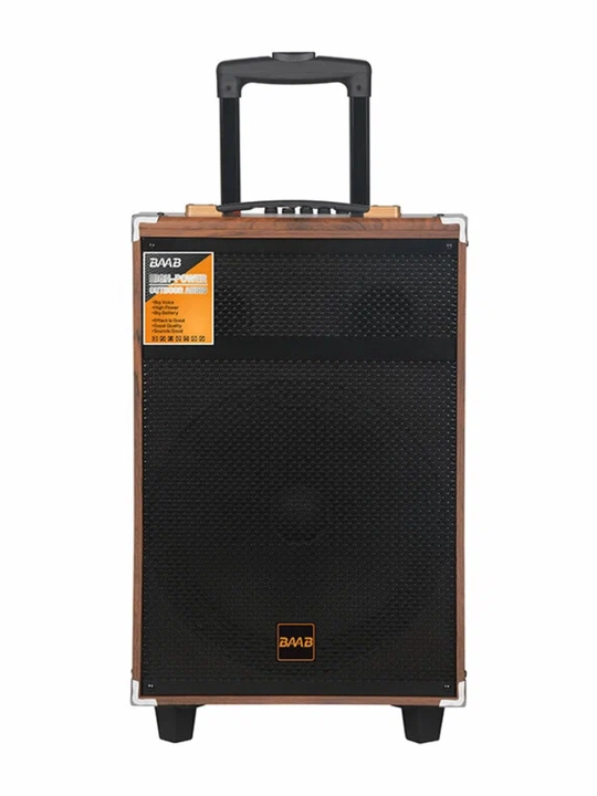 BAMB B-Q12 portativ Bluetooth karnay 12" (karaoke + simsiz mikrofon)