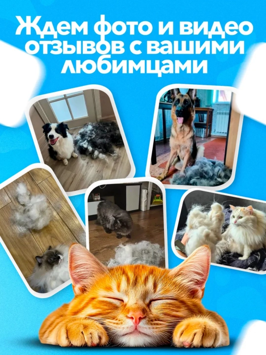 3 в 1 uy hayvonlari jun parvarishi cho‘tkasi, sprayli, mushuk va itlar uchun