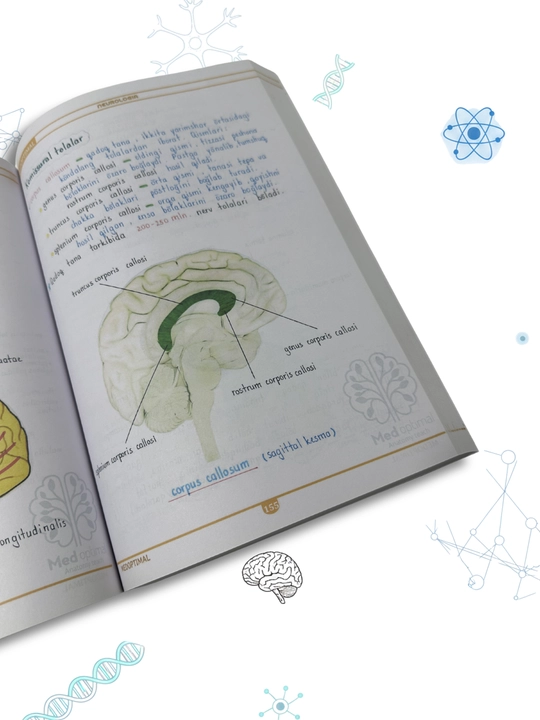 Tibbiyot kitobi, MEDoptimal anatomiya, tibbiyot talabalari uchun darslik, qo‘llanma