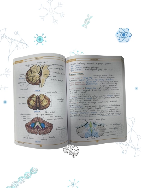 Tibbiyot kitobi, MEDoptimal anatomiya, tibbiyot talabalari uchun darslik, qo‘llanma