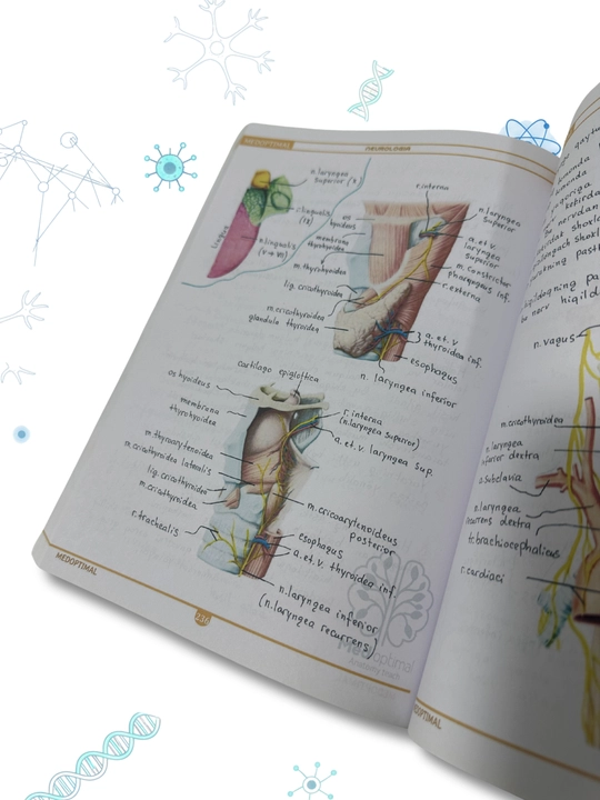 Tibbiyot kitobi, MEDoptimal anatomiya, tibbiyot talabalari uchun darslik, qo‘llanma