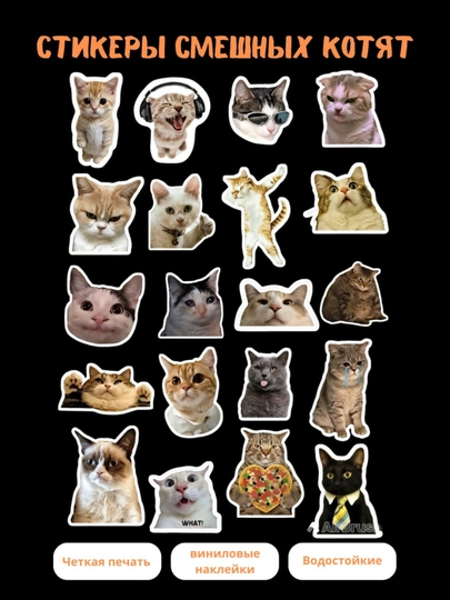 Стикеры смешных котят - 