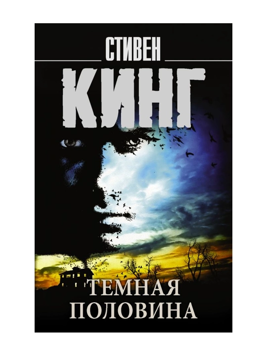 Темная половина. Кинг С.