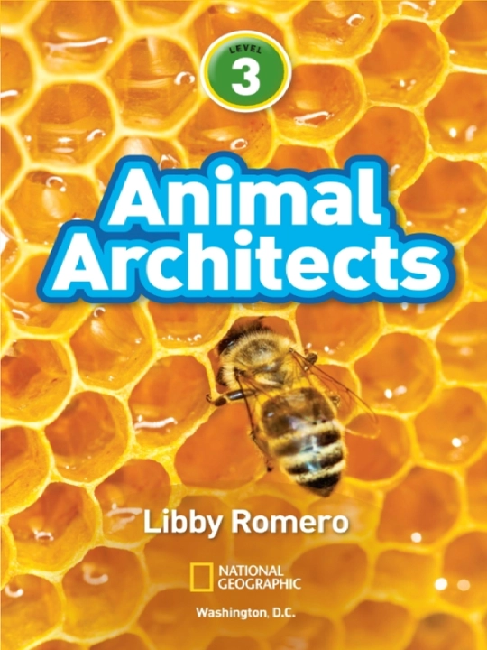 Книги National Geographic Kids Level 3: наборы и поштучно. История, космос и наука