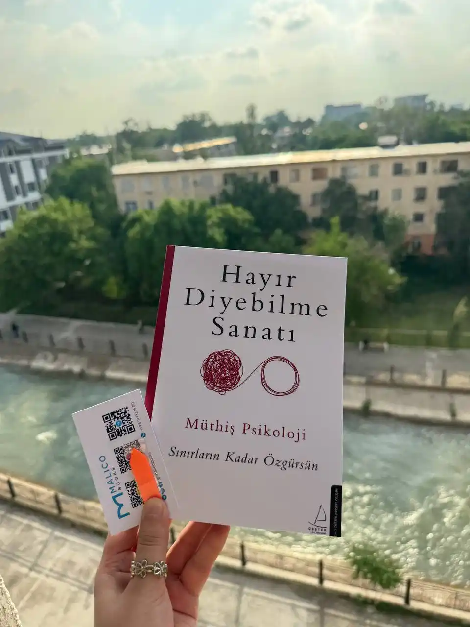 Hayir diyebilme sanati. Muthis Psokoloji (Книга на турецком языке)