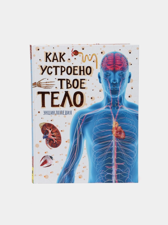 Kak ustroyeno tvoye telo, T. Kanavan - 