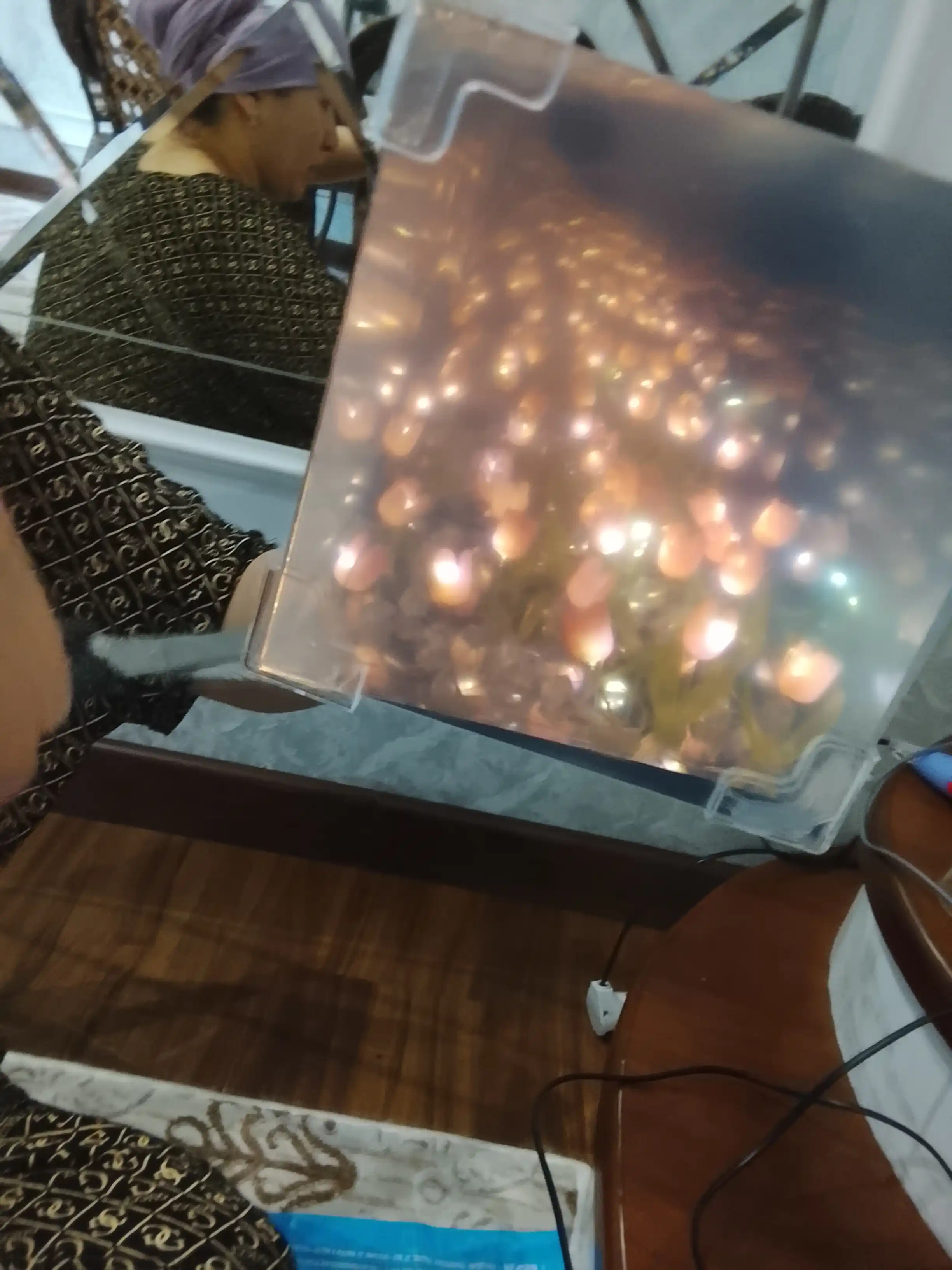 Lolali 3D tunchiroq, cheksiz lolalar, chiroqni o‘z qo‘ling bilan yig‘, tungi oyna