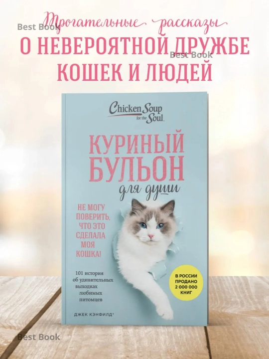 Куриный бульон для души, Не могу поверить, что это сделала моя кошка! - 