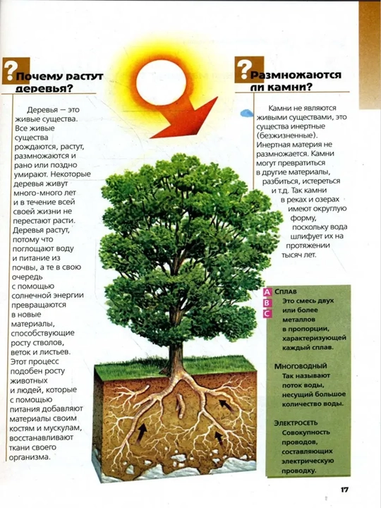 Что? Зачем? Почему? Большая книга вопросов и ответов