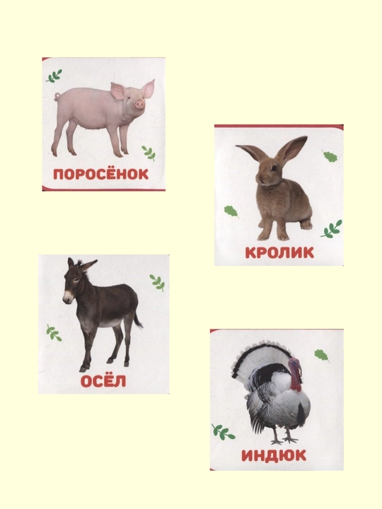 Книжки На Пене. Мягкий материал, 10 страниц, 2023